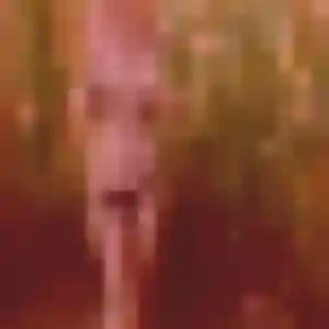 Stephanie, 39 ans, disponible à Blanquefort pour une rencontre coquine