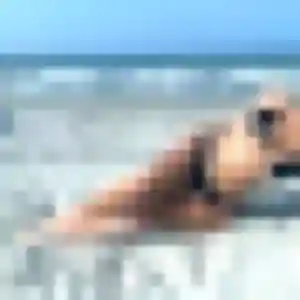 Charmante Irina, 19 ans à Bohain-en-Vermandois - la contacter
