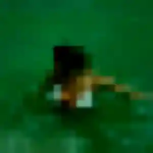 Graziella, 44 ans, disponible à Brest pour une rencontre coquine