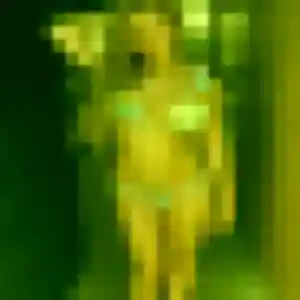 Photo privée de Emeraude, 45 ans à Couëron - plan discret