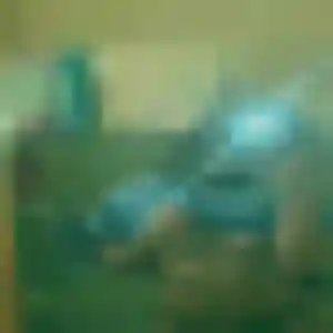 Siham (39 ans) à Dammartin-en-Goële attend une rencontre ce soir