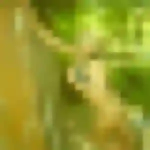 Photo de Ximena à Dives-sur-Mer (45 ans) - rencontre plan cul anonyme