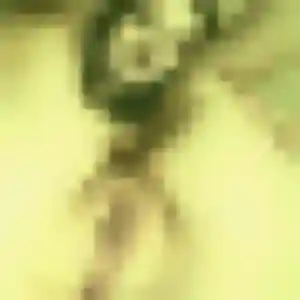 Janine, 34 ans, connectée à Dugny pour une rencontre coquine