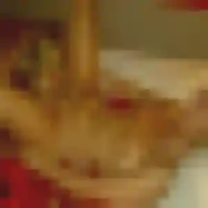 Nadia, 44 ans, disponible à Essarts-en-Bocage pour une rencontre coquine