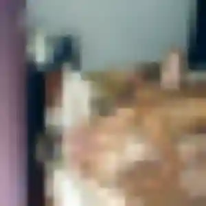 Barbara, 43 ans, cherche un rencontre plan cul à Flers-en-Escrebieux