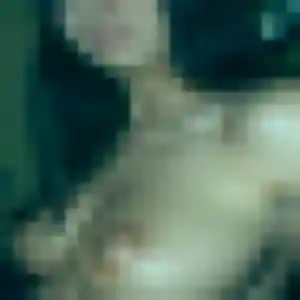rencontre plan cul à Fosses : profil de Natacha, 40 ans - accès libre