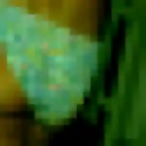 Touria, 40 ans, en ligne à Gujan-Mestras pour une rencontre coquine