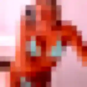 Photo perso de Malika, 41 ans à Jeumont - plan discret