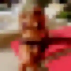 Joana (34 ans) à L'Haÿ-les-Roses attend un rencontre plan cul rapidement