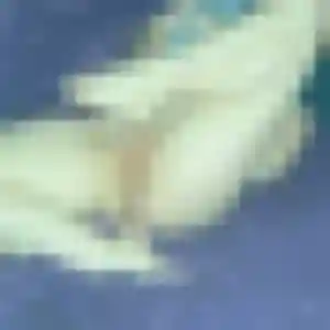 Fanny, femme de 33 ans cherche rencontre plan cul à Lamorlaye
