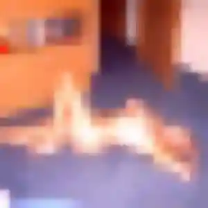Photo perso de Delphine, 42 ans à Lardy - rencontre coquine