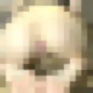 Photo sexy de Madeleine, 22 ans à Les Andelys - plan discret