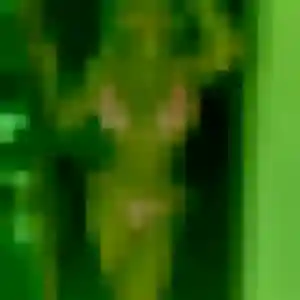 Photo exclusive de Ornella, 32 ans à Les Essarts-le-Roi - plan discret