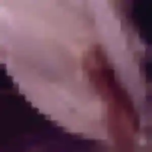 Priscilla, 19 ans, en ligne à Montlouis-sur-Loire pour un rencontre plan cul