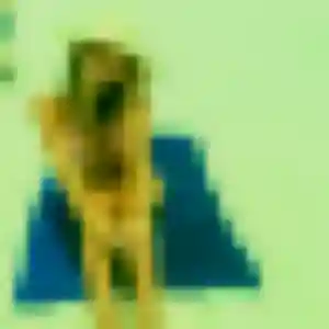 Cecile, 25 ans, cherche un rencontre plan cul à Mouroux