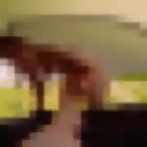 Photo de Sylviane à Nogent-sur-Seine (45 ans) - rencontre plan cul anonyme
