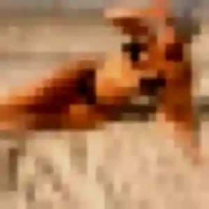 Clementine, 32 ans, disponible à Othis pour un rencontre plan cul