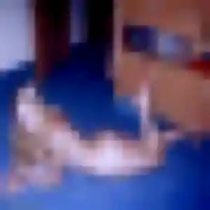 Photo privée de Chloe, 38 ans à Pacy-sur-Eure - plan discret