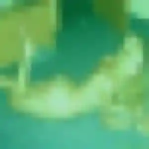 Katia, 33 ans, dispo pour rencontre plan cul à Paimpol