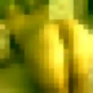Photo de Djamila à Petit-Couronne (42 ans) - rencontre plan cul sans inscription