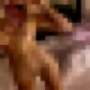 Photo perso de Amel, 29 ans à Provins - plan discret