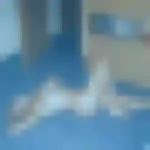 Photo sexy de Colombe, 26 ans à Rosny-sur-Seine - plan discret