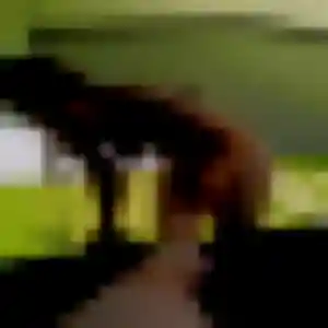 Graziella, 35 ans, en ligne à Saint-Florent-sur-Cher pour une rencontre coquine
