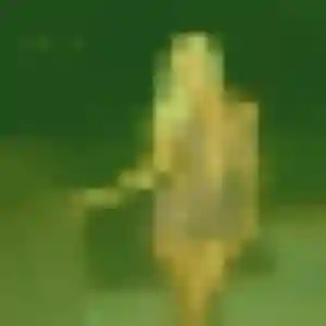 Charmante Sofia, 45 ans à Saint-Gratien - la contacter