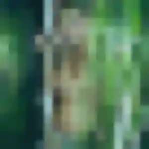 Sixtine, femme de 31 ans cherche rencontre plan cul à Sainte-Geneviève-des-Bois