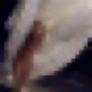 Benedicte (45 ans) à Sainte-Luce-sur-Loire propose une rencontre aujourd'hui