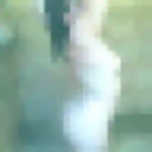 Profil de Hermine à Souleuvre en Bocage (27 ans) - rencontre plan cul gratuit