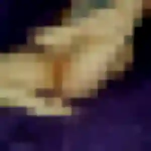 Dounia, 32 ans, en ligne à Villeneuve-la-Garenne pour une rencontre coquine