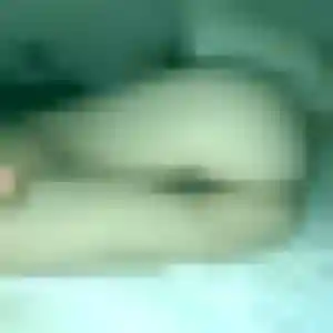 Profil de Oriane à Wattrelos (32 ans) - rencontre plan cul anonyme